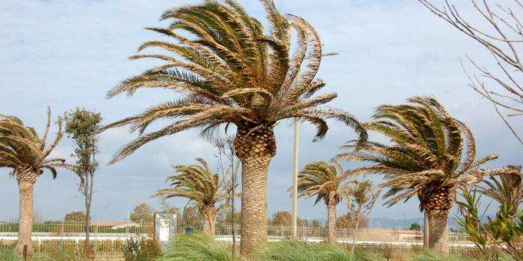 Via libera del Consiglio Ue a Di Maio inviato nel Golfo: l’Europa oggi conta poco immaginiamoci da domani