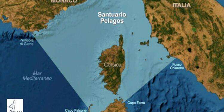 Sassari, giovedì 22 giugno incontro internazionale “Carta Pelagos”