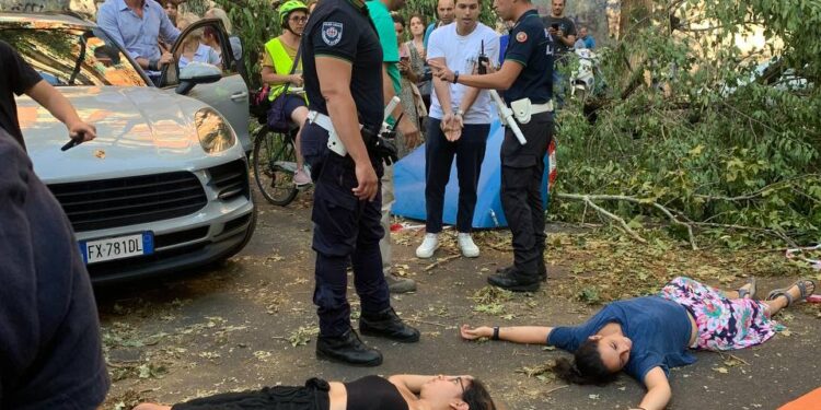 Ultima Generazione Milano, in strada tra gli alberi abbattuti dal temporale, reazione violenta di un automobilista
