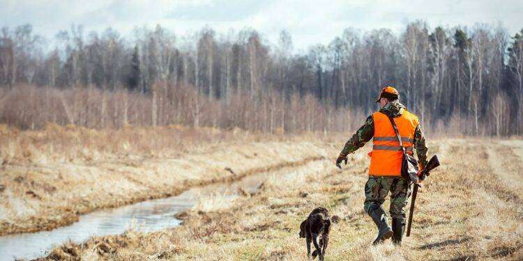 Caccia, assessore Porcu: ‘Dal 15 luglio parte il censimento della pernice sarda coi cani da ferma grazie all’accordo Regione-Enci’