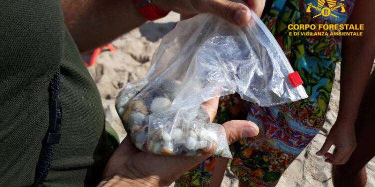 Valledoria (SS) Contrasto al prelievo di sabbia e ciottoli