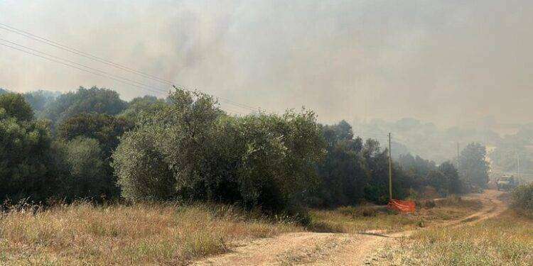 Incendio vicino case in Gallura, evacuate due famiglie