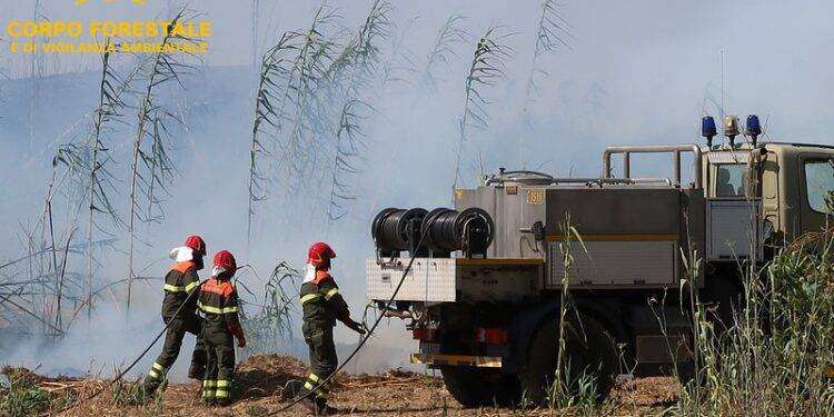 Incendio doloso a Villacidro, arrestato un piromane di 50 anni
