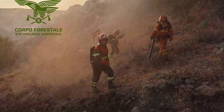 Incendio doloso a Villacidro, arrestato un piromane di 50 anni