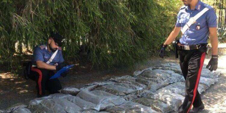 Nella cisterna per l’acqua 93 chili di marijuana, un arresto a Tuili