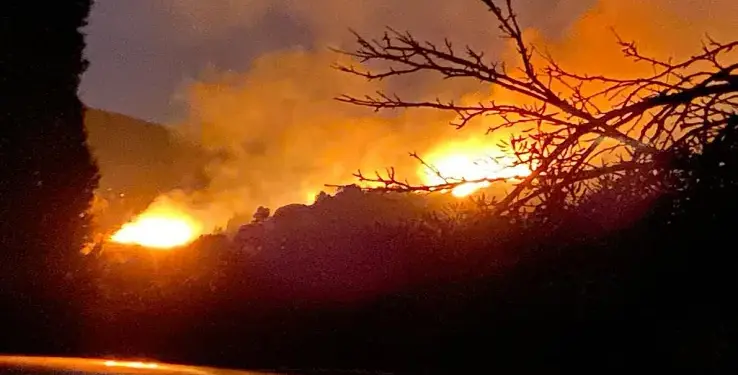 Incendio all’isola d’Elba, evacuati un campeggio e alcune case
