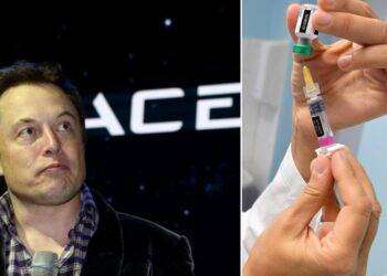 Elon Musk ridicolizza i vaccini anti-Covid e la loro presentazione sui media