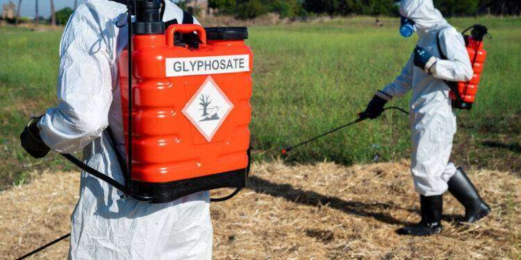 Greenpeace si mobilita contro il glifosato