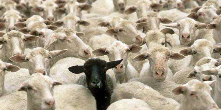 La Storia la scrivono i vincitori