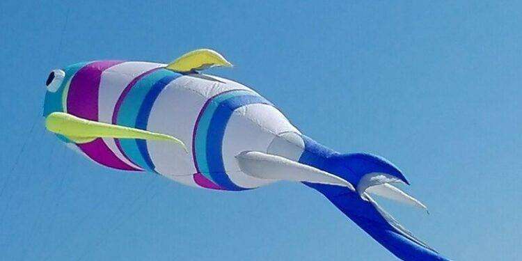 Al Poetto la prima festa internazionale dell’aquilone