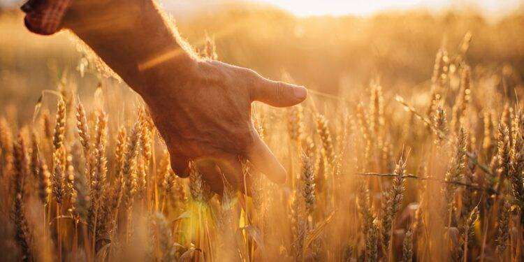 GAL. Presentato l’avviso per la selezione delle strategie di sviluppo locale di tipo partecipativo