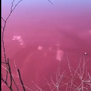 Hawaii. Il mistero del lago rosa “Barbie”