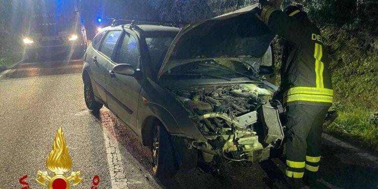 Finisce con l’auto contro un albero, un ferito grave in Gallura