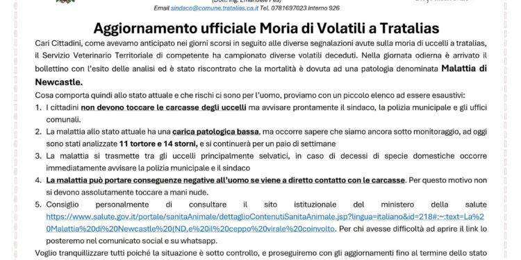 Moria di volatili a Tratalias: “E’ la malattia di Newcastle”, una forma di aviaria