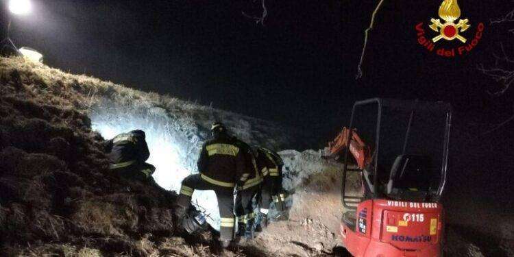 San Miniato, Bassotta resta incastrata in una tana per inseguire una volpe: salvati entrambi gli animali