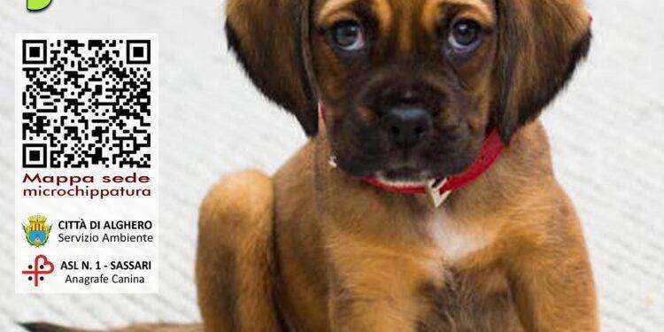 Alghero, campagna per la microchippatura gratuita dei cani