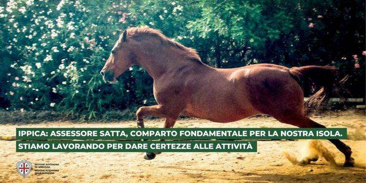 Ippica: assessore Satta, comparto fondamentale per la nostra isola