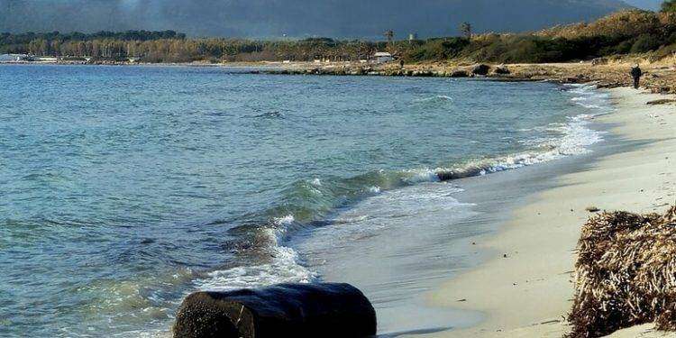 Ad Alghero i tronchi d’albero spiaggiati rivivono con un dono