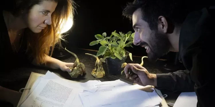 La guerra degli orsetti gommosi di Batisfera vola a Edimburgo