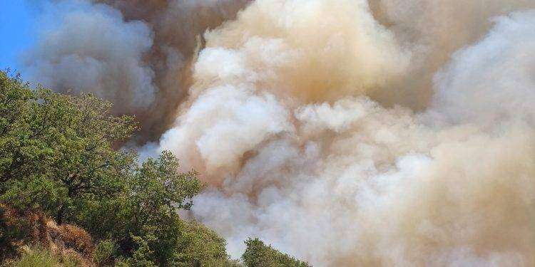 Vasto incendio a Burgos: sul posto 4 elicotteri e due canadair