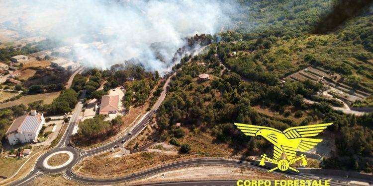 Le fiamme divorano la Sardegna, 20 incendi nella giornata di oggi