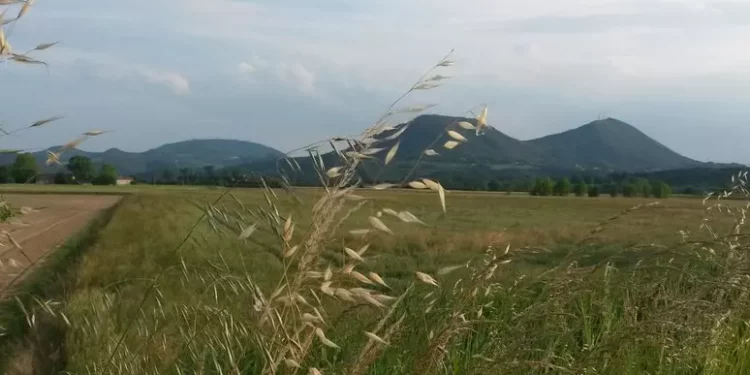 I Colli Euganei conquistano l’Unesco