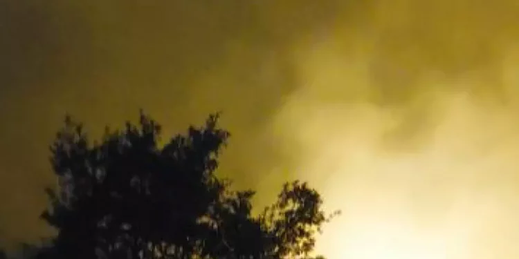 Sale bilancio incendio nel Nuorese, oltre 1000 ettari in fumo