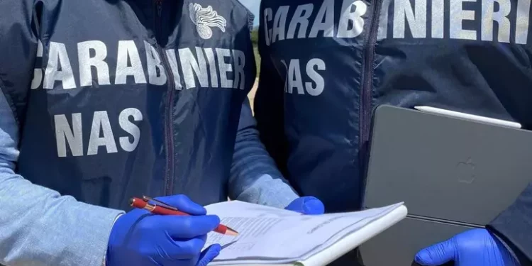 Oltre 20 quintali di merce sequestrata dai Nas nel nord Sardegna