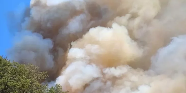 Allevatore incendiario arrestato in flagranza nel Sassarese
