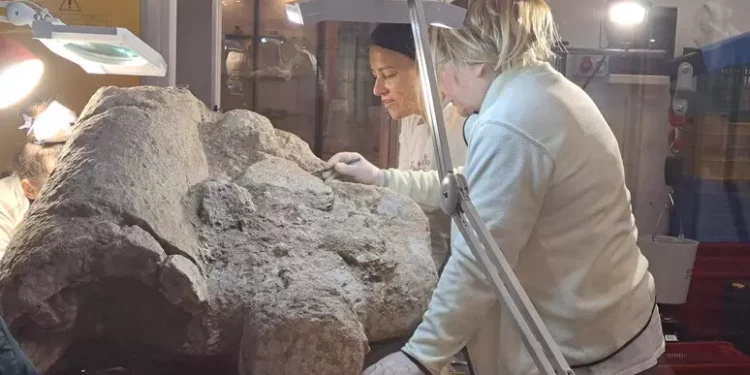 Record di presenze e incassi per musei e siti di Mont’e Prama