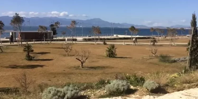 Zedda, ‘da variazioni bilancio fondi per aree verdi e strade’