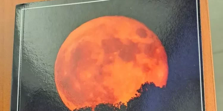 “La Rete”, Zappadu racconta i segreti dell’Anonima sequestri