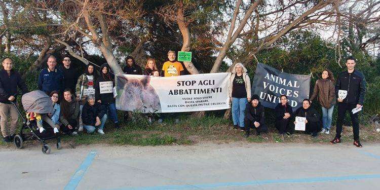 “No abbattimento dei cinghiali”, manifestazione a San Giovanni di Sinis