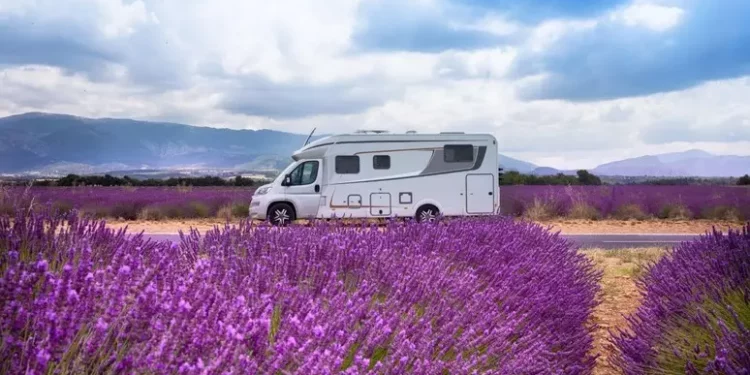 In camper tra le fioriture meno note d’Italia