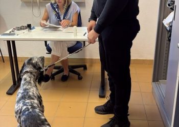 Sassari, aperta la nuova sede dell’anagrafe canina nella struttura comunale di via Poligono