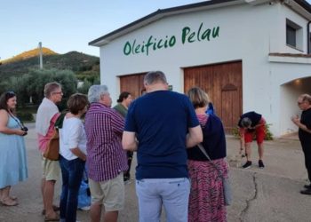 Dall’oleoturismo al turismo di ritorno passando per l’accademia aziendale