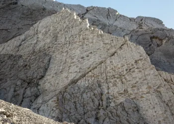 Scoperte migliaia di orme di dinosauri nel Parco dello Stelvio