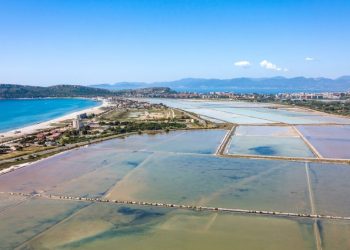 Molentargius Saline: la Giunta regionale approva il Piano del Parco