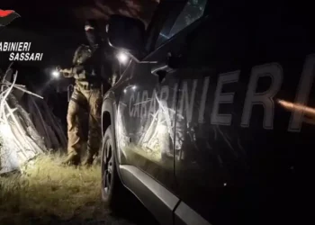 Maxi blitz antidroga tra Sardegna e Penisola